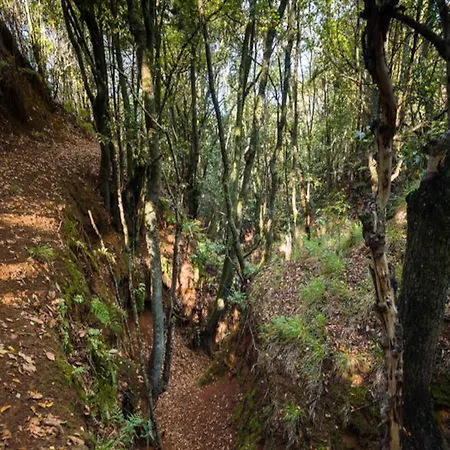 Mobile - - Valleseco テロル